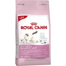 Royal Canin Mother-Baby Cat 34 2 kg İstiridye Tatlı Premium Kalite Anne ve Yavru Kedi Maması