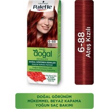 Palette Kalıcı Doğal Renkler  6-88 Ateş Kızılı Goji Berry Özü Saç Boyası