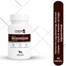 Vıtarmor Supplements Mushroom & Köpek Besin Takviyesi 60 Kapsül 650 Mg