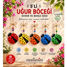 Nesli Evim El yapımı, Balkon dekorasyonu  5li Şans Uğur Böceği