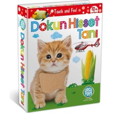 Kazan Hobi Dokun Hisset Tanı Eğitim Kartları, Zeka Kartları