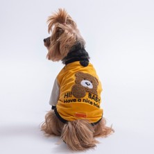 Pawstar Mustard-Hardal Baby Teddy Sweat Kedi Köpek Sweati - Kedi Köpek Kıyafeti L