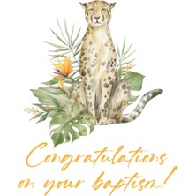 Kazan Hobi Independently Published Congratulations On Your Baptism: Jurnal For Jehovah's Witnesses | Lined Notebook | Jehovah Witness Baptism Gifts! (Notebooks)