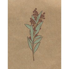 Kazan Hobi Independently Published Materia Medica Herbalist Journal: A Personal Herb Tracking Notebook, Botanical Cover Design, Dıy Botanical Directory For Herbal Studies, 105 8.5X11 Pages