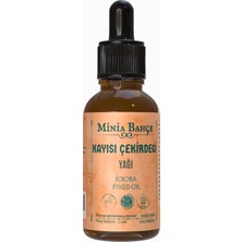 Kazan Hobi Minia Bahçe Bitki Sanat Atölyesi Kayısı Çekirdeği Yağı 30ML