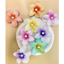 Kazan Hobi Lotus Toka, SM989898978788