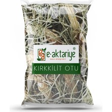 Kazan Hobi Ea E-Aktariye Kırkkilit 50 gr