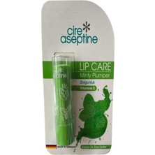 Kazan Hobi Cire Aseptine Lip Care Minty Plumper Dudak Nemlendirici 4,5 G