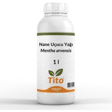 Kazan Hobi Tito Nane Yağı - 1 Lt