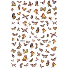 Kazan Hobi Tırnak Sticker