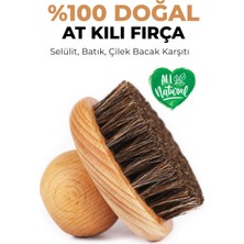 Kazan Hobi %100 Doğal At Kılı Fırça |kan Dolaşımı Destekleyici,selülit Karşıtı,cilt Arındırıcı|sentetik Içermez