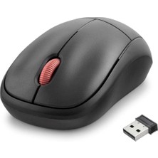 Gees Global Wıreless Mouse Siyah