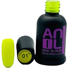Kazan Hobi Anil Professional Cosmetics Kalıcı Oje Neon Renkler 10ML | Dayanıklı Kolay Uygulanan Trend Renkler | Hızlı Kuruma ve Parlaklık (Neon - 01)