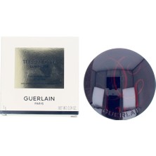Kazan Hobi Guerlain Terracotta Luminizer Compact Powder 01 Gold