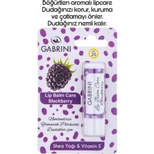 Kazan Hobi Gabrini Meyveli Lipcare Blackberry