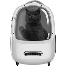 Kazan Hobi Petkit Breezy 2 Evcil Hayvan Çantası Beyaz (Resmi Distribütör Garantili)