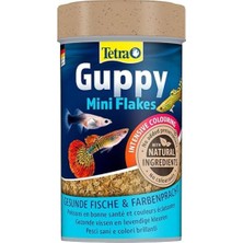 Kazan Hobi Tetra Yem Guppy 100 ml