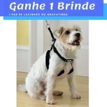 Kazan Hobi Pawise Dog Training Xs (3/4"x9-12") Eğitim Tasması