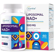 Corllia Liposomal Nad+ (( EXP:07.2026 )) 500MG With Tmg 250MG 60 Softgels.usa.48.