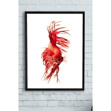Kazan Hobi Postermanya (PSTER13190) Sanatsal Balık Hayvan Çerçeveli Tablo 4 (30 x 40CM)