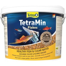 Kazan Hobi Tetra Yem Tetramin Flakes Kova 10 Litre
