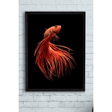 Kazan Hobi Postermanya (PSTER13184) Sanatsal Balık Hayvan Çerçeveli Tablo 3 (50X70CM)