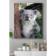 Kazan Hobi Postermanya (PSTER16678) Koala Hayvan Kanvas Tablo 40 x 60