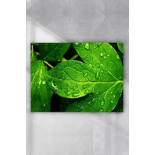 Kazan Hobi Postermanya (PSTER9521) Yaprak Sanatsal Poster (60X90CM)