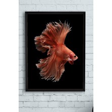 Kazan Hobi Postermanya (PSTER13173) Sanatsal Balık Hayvan Çerçeveli Tablo (50X70CM)
