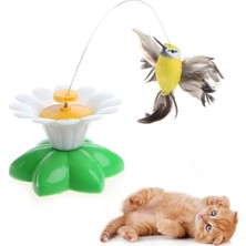 Kazan Hobi Hareketli Kedi Oyuncağı Dönen Kuş Başlıklı (Pille Çalışır)