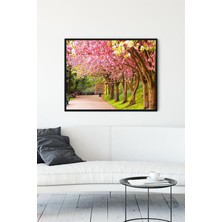 Kazan Hobi Postermanya (PSTER12294) Ilkbahar Manzara Çerçeveli Tablo 3 (50X70CM)