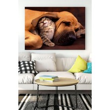 Kazan Hobi Postermanya (PSTER16510) Kedi ve Köpek Eğlenceli Mizahi Kanvas Tablo 40 x 60