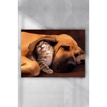 Kazan Hobi Postermanya (PSTER5448) Kedi ve Köpek Eğlenceli Mizahi Poster (80X115CM)