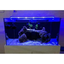 Kazan Hobi Orionled Akvaryum LED Aydınlatma Mavi 30CM