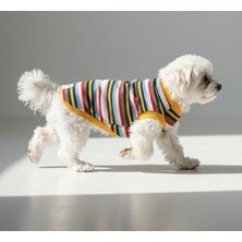 Miniş Striped Ince Triko Küçük Irk Köpek Kazağı