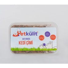 Kazan Hobi Petkülit Kedi Çimi - Şeffaf