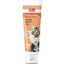 Kazan Hobi Bio Petactive Pet Active Kediler Için Felilysine Gel 100 ml