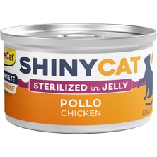Kazan Hobi Gimcat Shinycat Jelly Tavuklu Kısır Kedi Maması, 70 Gram
