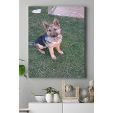Kazan Hobi Postermanya (PSTER16781) Kurt Köpeği Hayvan Kanvas Tablo 2 50 x 70