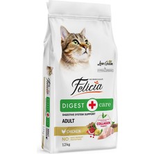 Kazan Hobi Felicia Kuru Kedi Maması, Tavuklu, Az Tahıllı, Yetişkin, Hipoalerjenik, 12 kg
