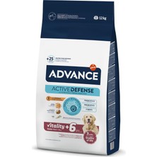 Kazan Hobi Advance Dog Maxi Senior +6 Vitality 12KG