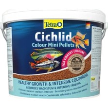 Kazan Hobi Tetra Yem Cichlid Color Mini 10 Litre