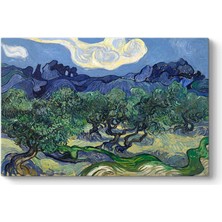 Kazan Hobi Vincent Van Gogh - Zeytin Ağaçları Tablosu 45 x 30
