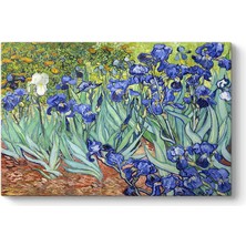 Kazan Hobi Vincent Van Gogh - Iris Süsen Çiçeği Kanvas Tablosu 140 x 100