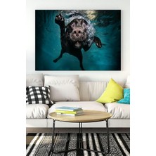 Kazan Hobi Postermanya (PSTER18585) Yüzen Köpek Eğlenceli Mizahi Kanvas Tablo 40 x 60