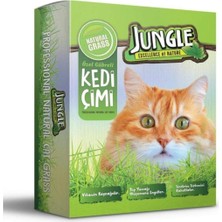Kazan Hobi Jungle Özel Gübreli Kedi Çimi Fileli, 14X14 cm