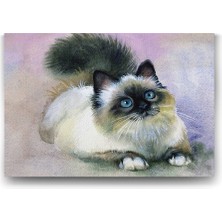 Kazan Hobi Sulu Boya Kedi Tablosu - 140X100CM