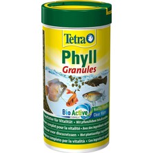 Kazan Hobi Tetra Phyll Granules – Tüm Bitki Yiyen Süs Balıkları Için Balık Yemi, Hayati Önem Taşıyan Lifli Granül Yem, 250 ml Kutu