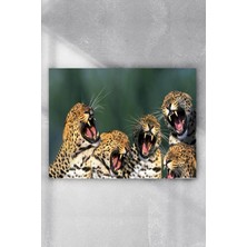 Kazan Hobi Postermanya (PSTER6033) Gülen Leoparlar Eğlenceli Mizahi Poster (70X100CM)