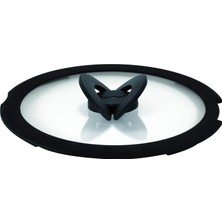 Kazan Hobi Tefal Ingenio Cam Kapak - 18 cm